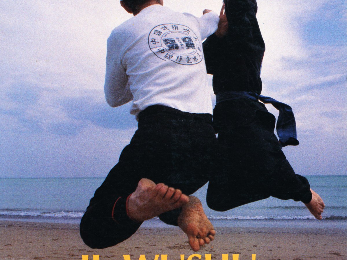 L’Addestramento dello Shangai Wushu Team – Parte 2